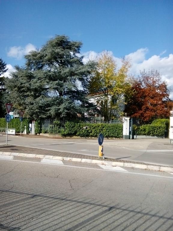 Villa Osmanthus Vicenza Exterior foto